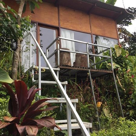 Jungleadventure Cabin Camping Bedugul  Exterior photo