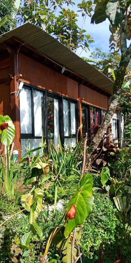 Jungleadventure Cabin Camping Bedugul  Exterior photo